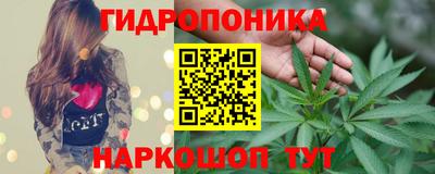 мдпв Аргун
