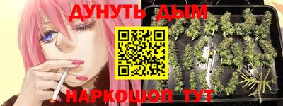 мдпв Аргун
